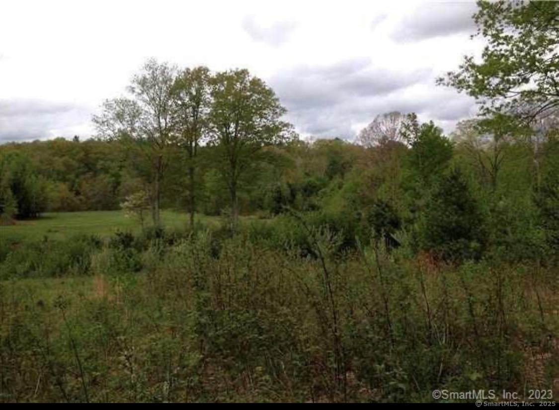 226 Goose Lane - Photo 1