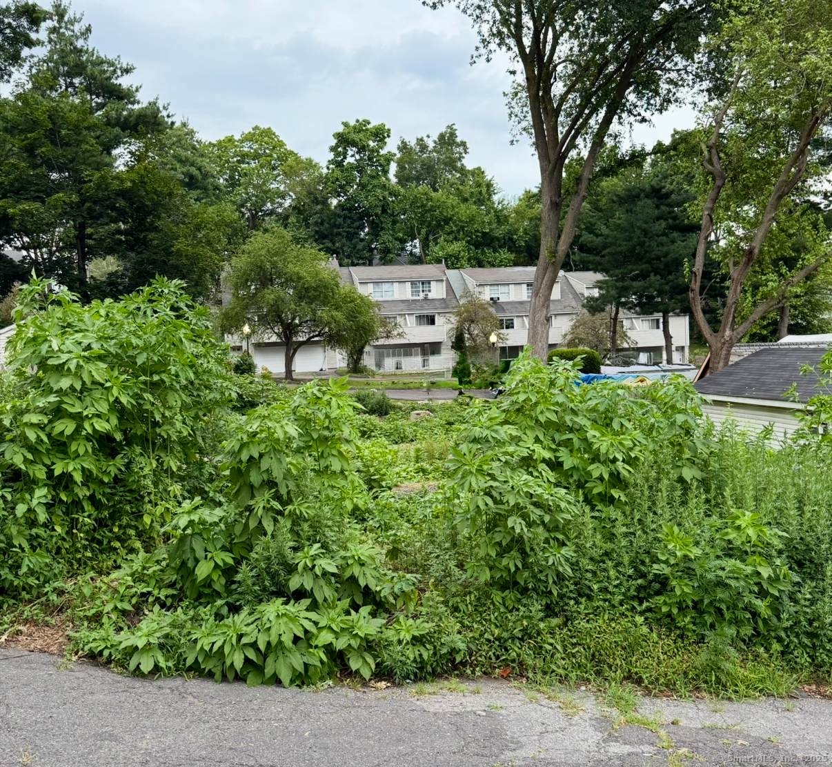 28 Wilkins Avenue - Photo 1