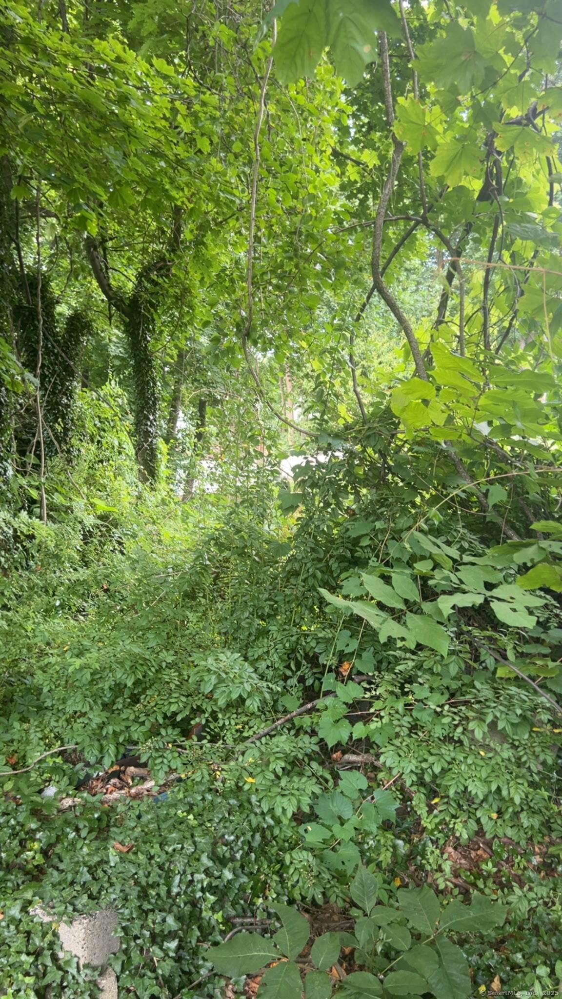 38 Porter Court - Photo 1