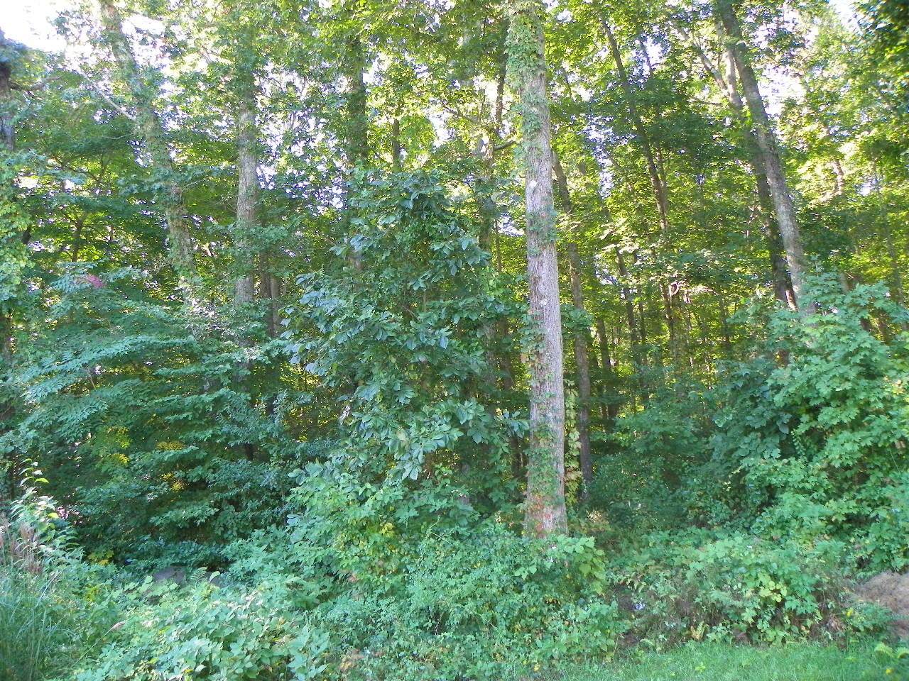 https://bt-photos.global.ssl.fastly.net/ctmls/orig_boomver_1_24138768-1.jpg