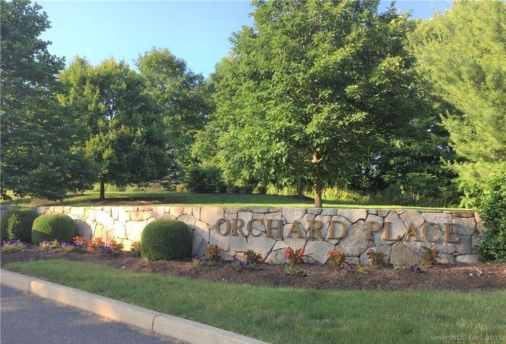 20 Orchard Street - Photo 1