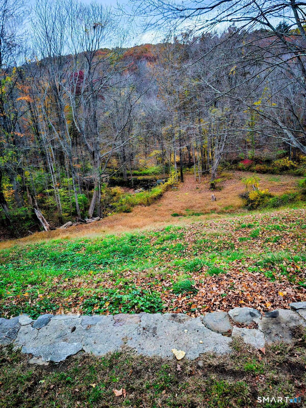 122 Falls Road - Photo 1