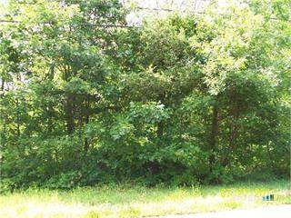 1263, 1306, 1316, 13 Pecausett Meadows - Photo 1