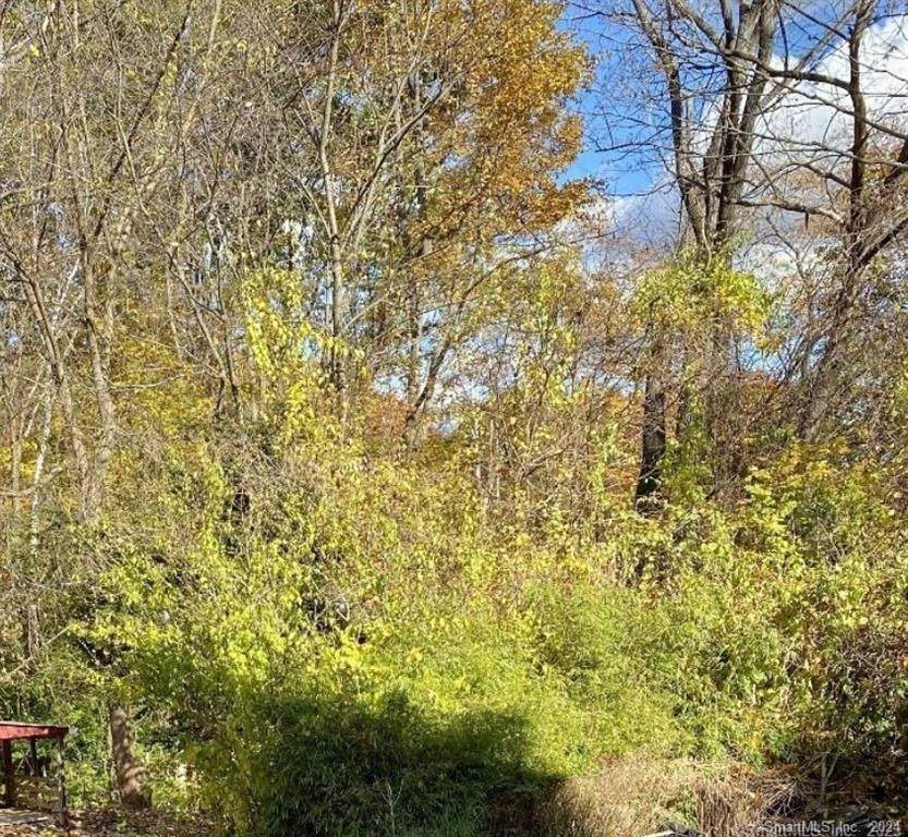 00 Ramsgate Lane - Photo 1