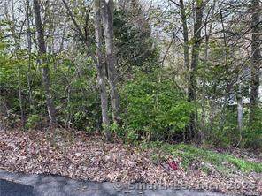 Saugus Avenue - Photo 1