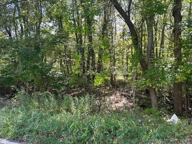 87 Fort Shantok Road - Photo 1
