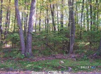 254 Stoddard Road - Photo 1