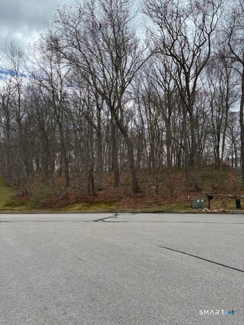 13 Tuckers Run - Photo 1