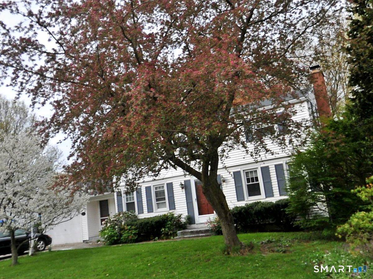 16 Dorothy Street - Photo 1