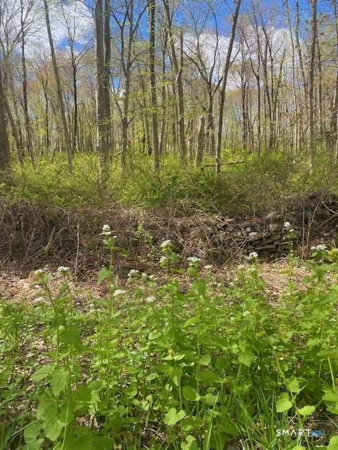 0 Clark Hill Road - Photo 1