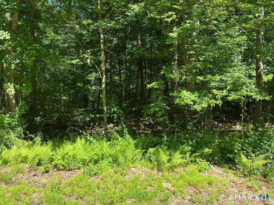  Middle Turnpike - Photo 1