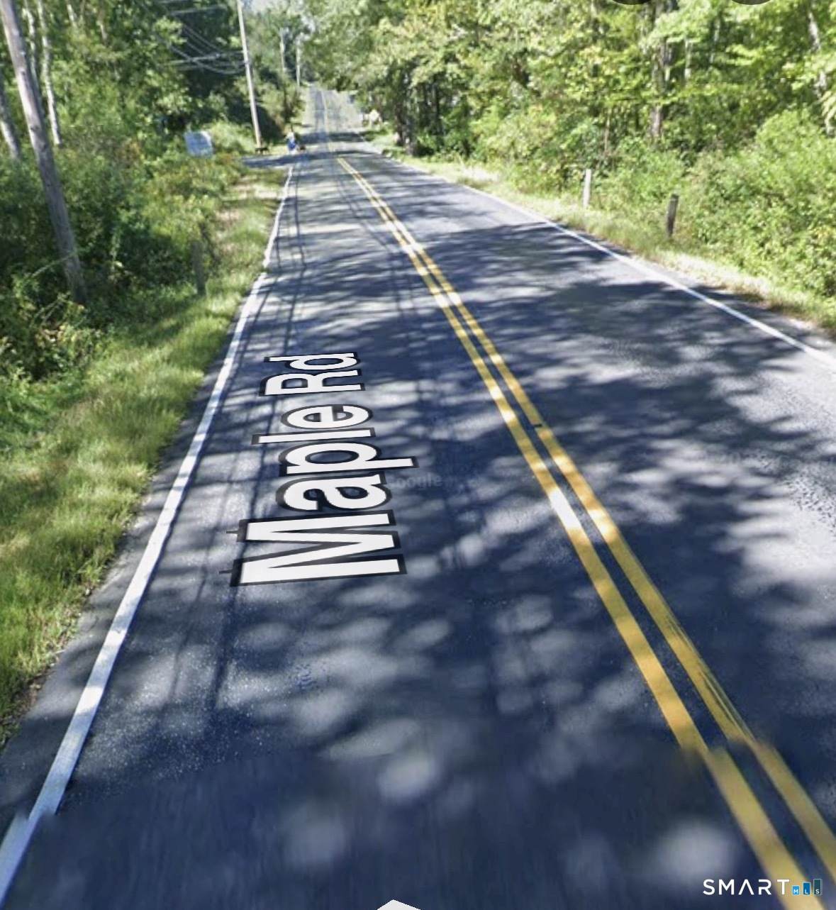  Maple Road - Photo 1