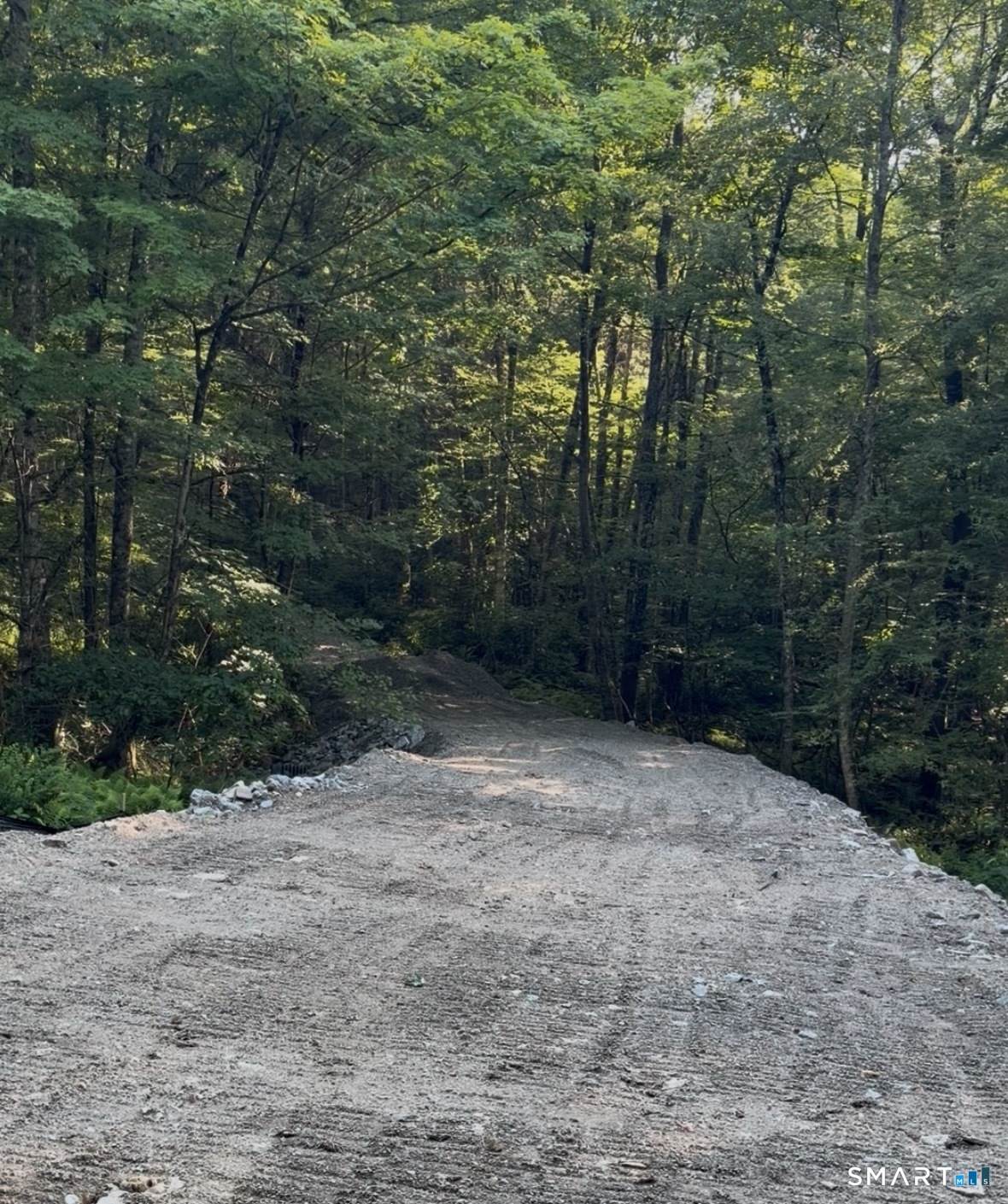  Route 197 Route - Photo 1