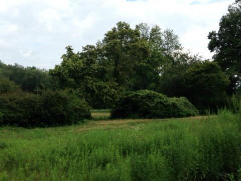 152 Carter Street - Photo 1