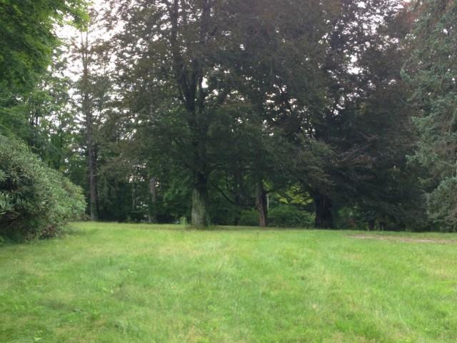 158 Carter Street - Photo 1