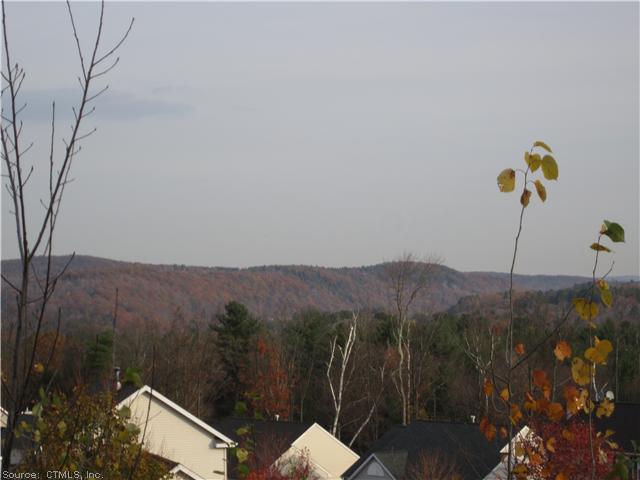 1 White Pine Roads - Photo 1