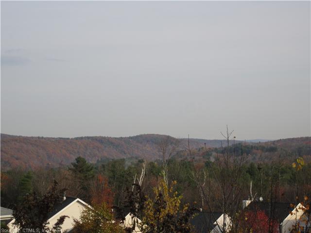 2 White Pine - Photo 1
