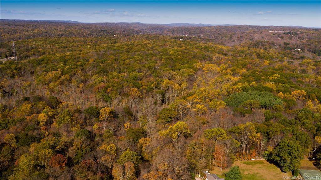 Lot A Honey Hill Road - Photo 1