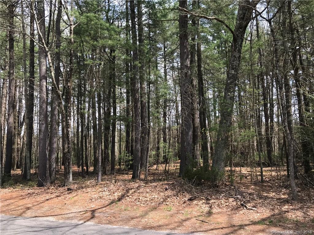 196 Simsbury Road - Photo 1