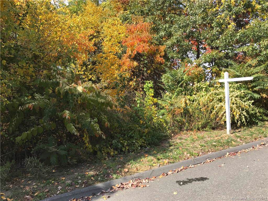 0 Traverse Street - Photo 1
