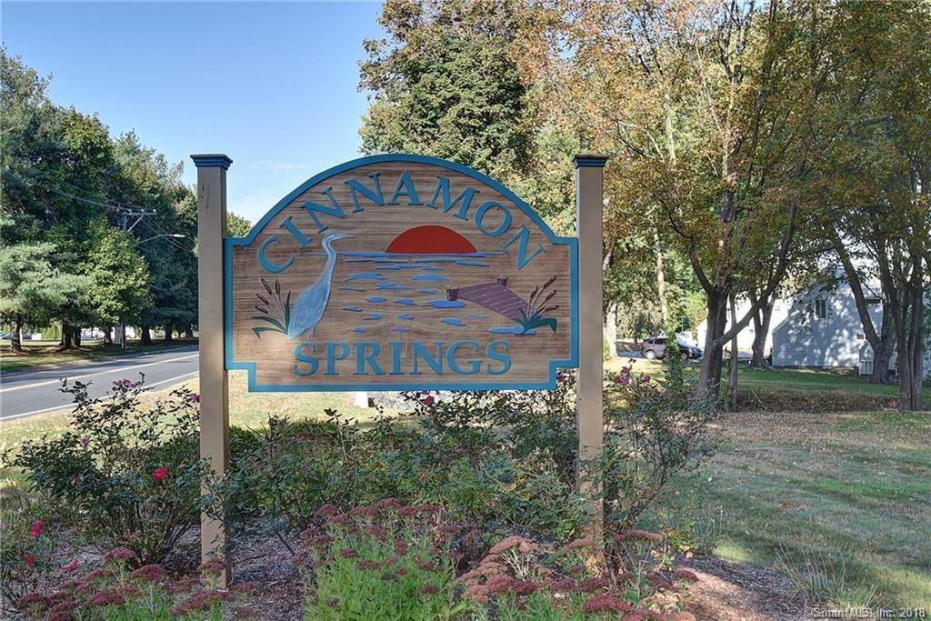 19 Cinnamon Springs - Photo 1