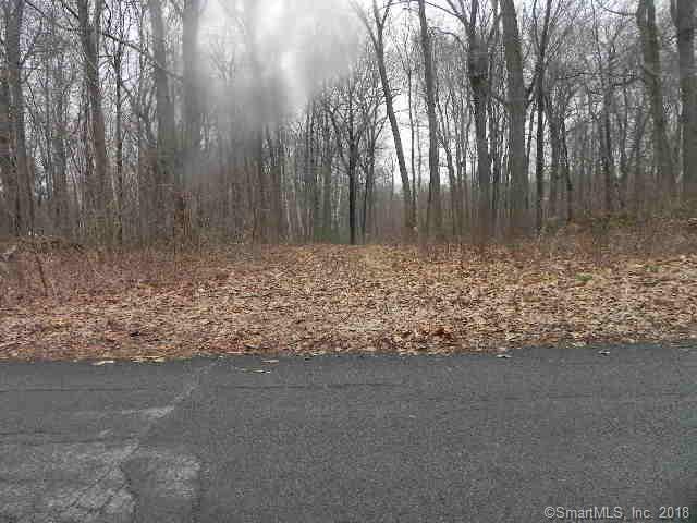 65 High Ridge Drive - Photo 1