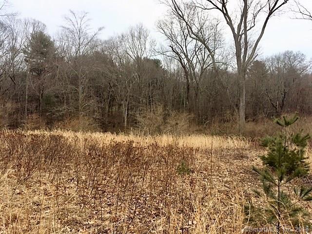 Lot 115 Windsor (#135) Court - Photo 1