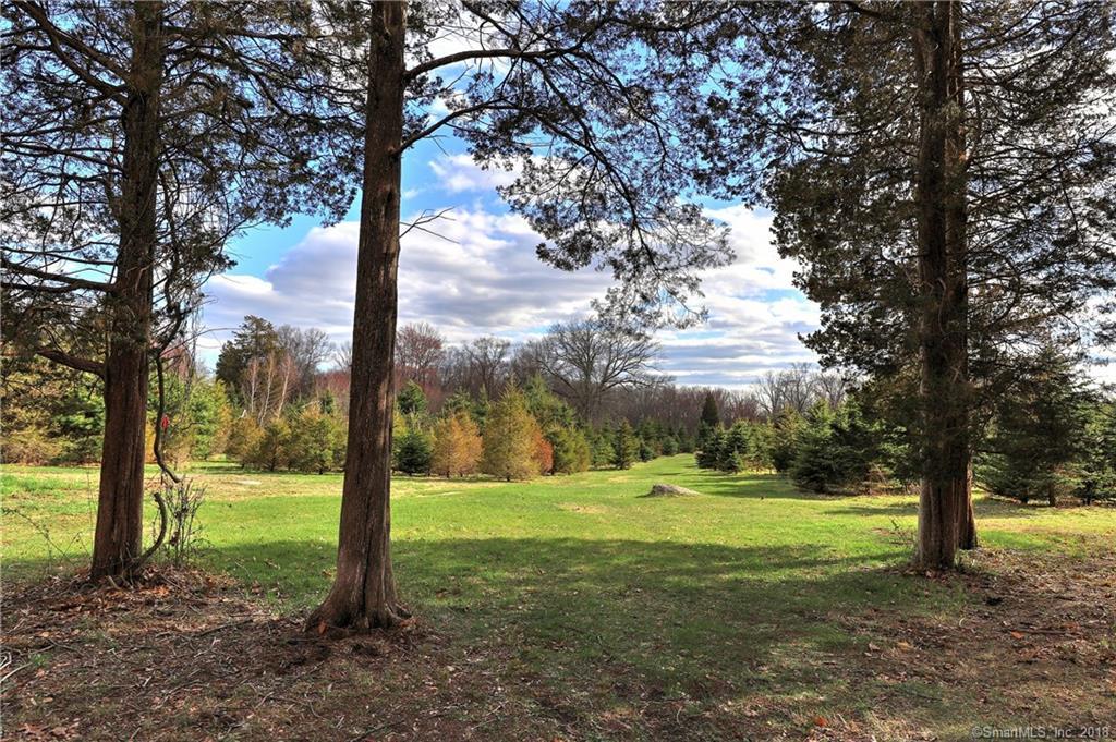0 Old Mill Road - Photo 1