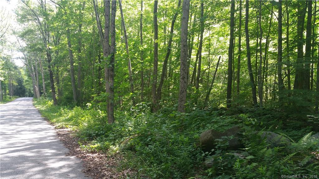 0 Old Goshen Road - Photo 1
