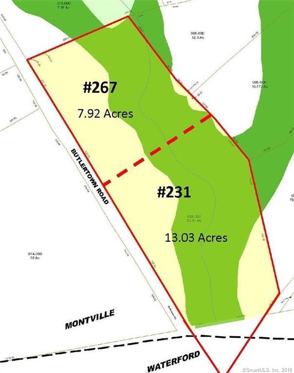 231 Butlertown Road - Photo 1