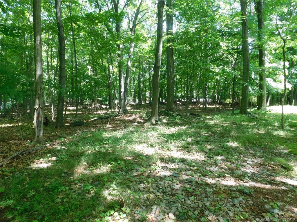 825 Dogburn Road - Photo 1