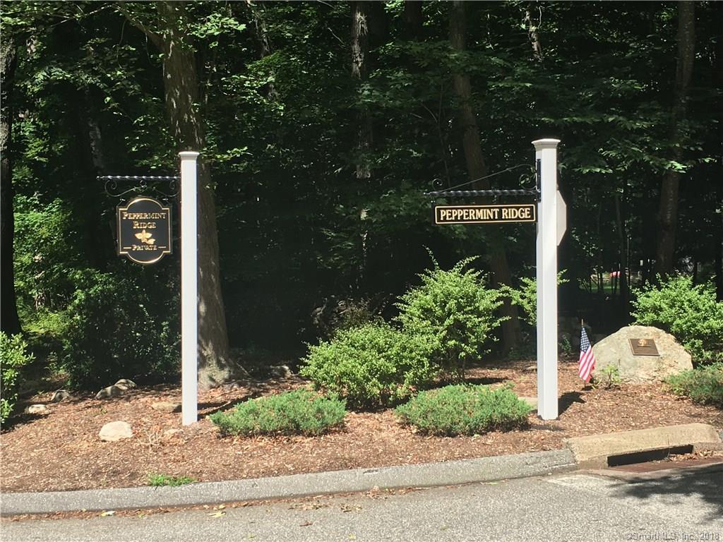 36 Peppermint Ridge - Photo 1