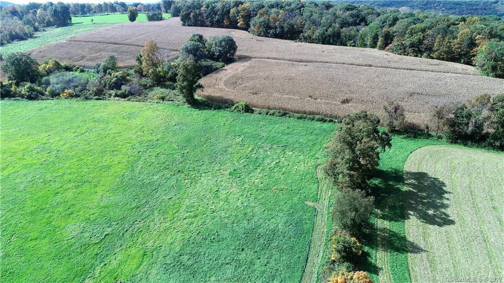 000 Rabbit Hill Road - Photo 1