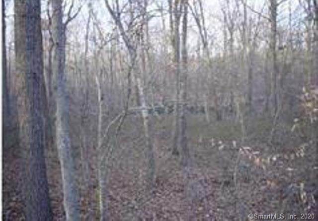 206 Flanders Road - Photo 1