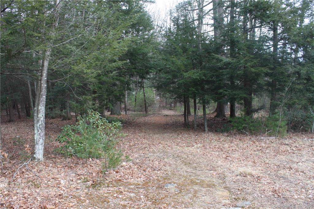LOT 3A Lake Wood Lane - Photo 1