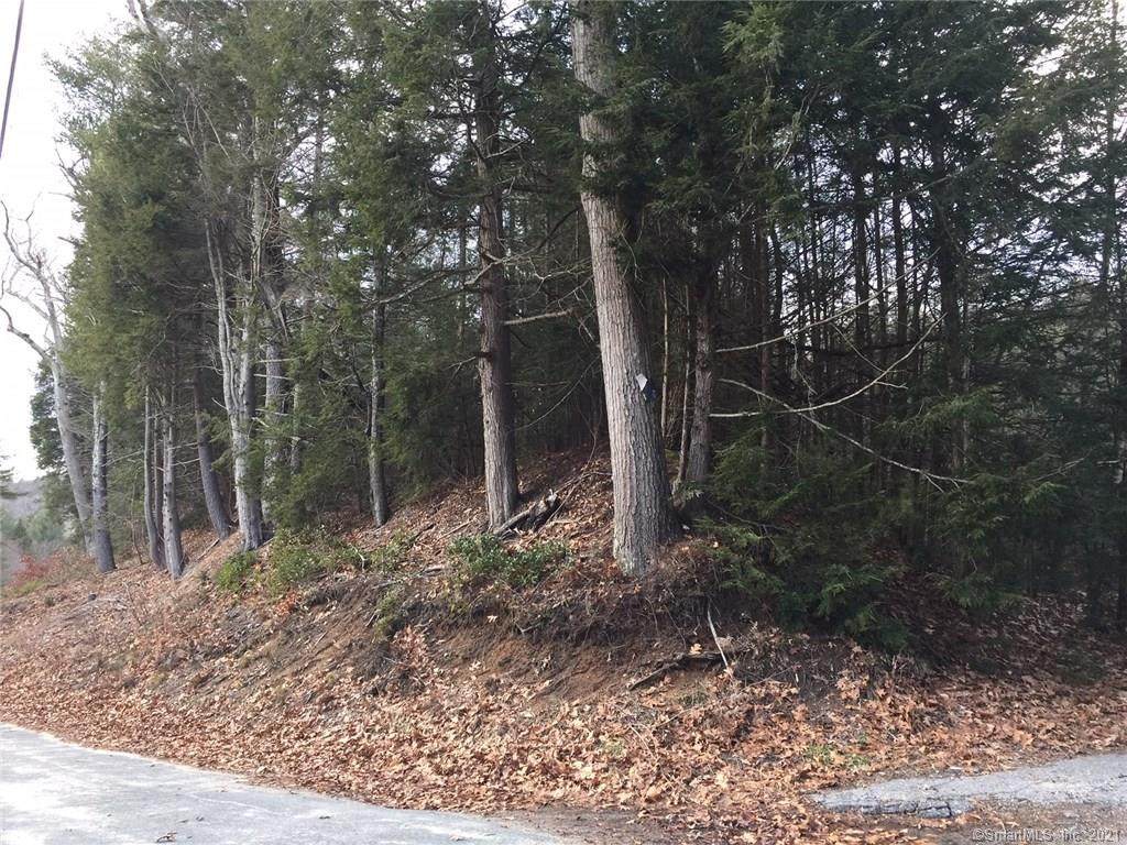 117 Stedman Road - Photo 1