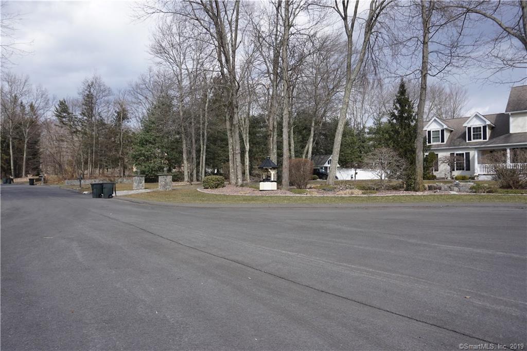81 Carriage Drive - Photo 1