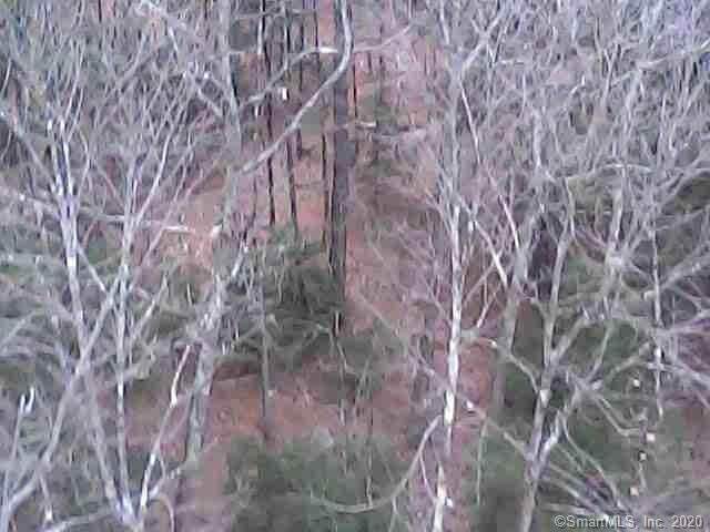19 Ratlum Mountain Road - Photo 1