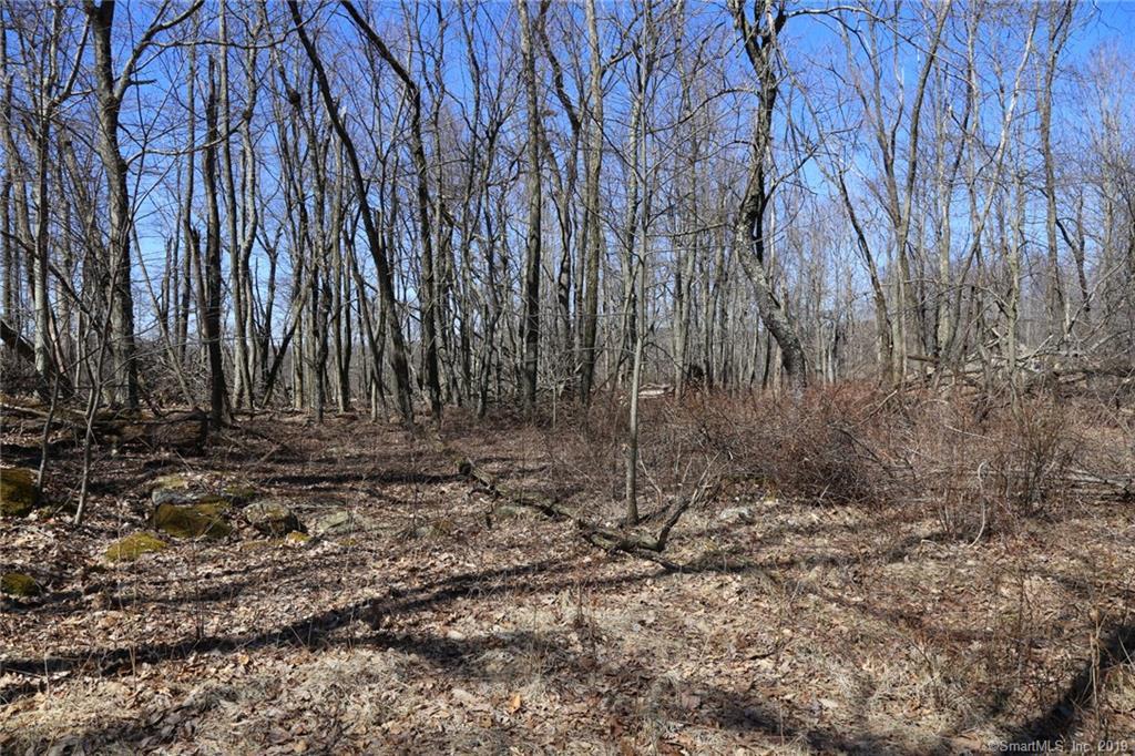 8 Buck Mountain Court - Photo 1