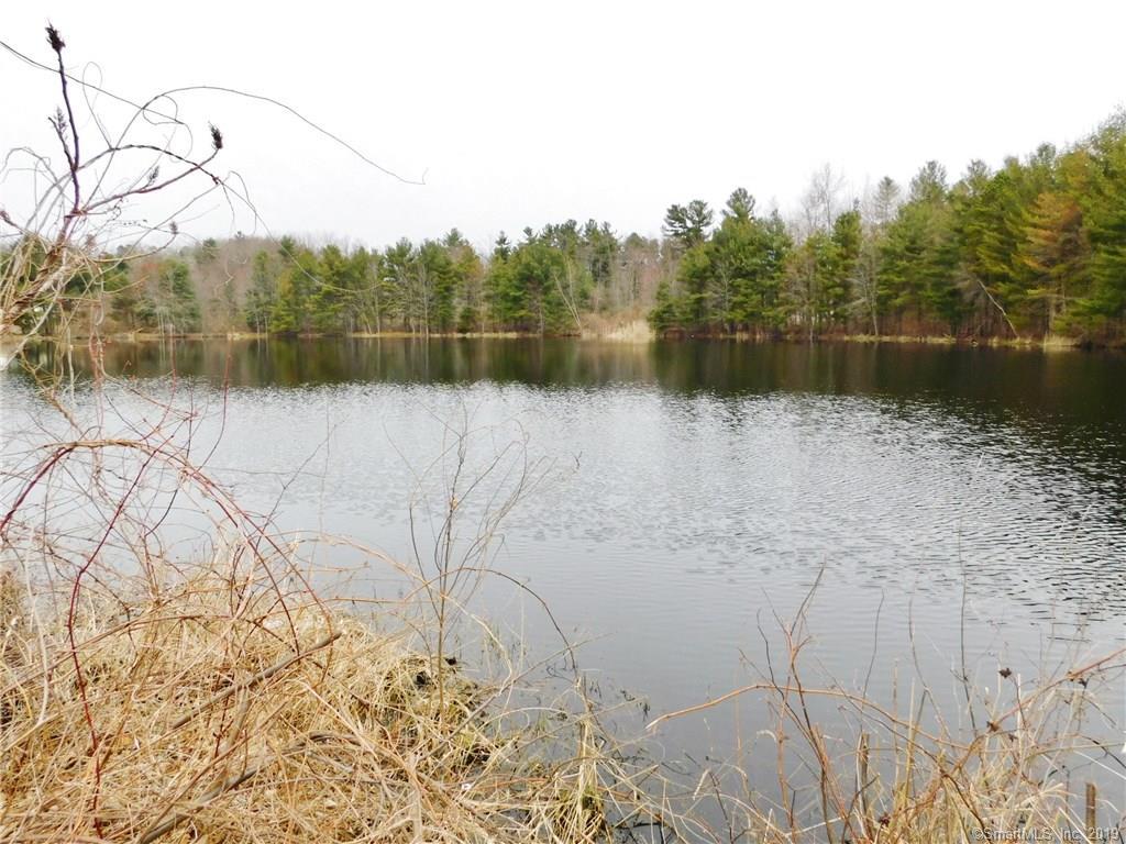 39 Pheasant Run - Photo 1