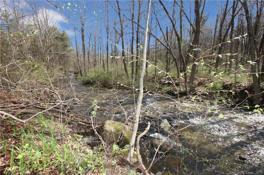 Lot 755 Hickory Lane - Photo 1