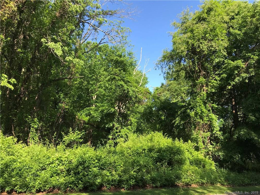 11 Cotton Tail Trail - Photo 1