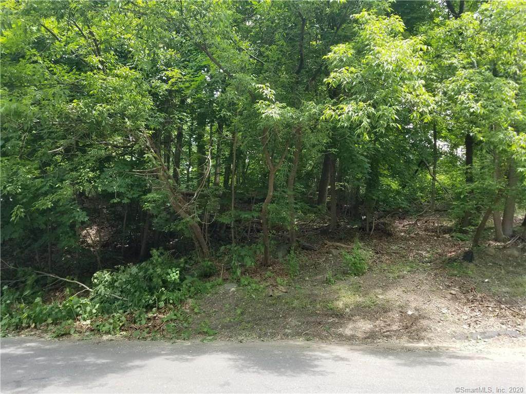Lot 0 Johnson Street - Photo 1