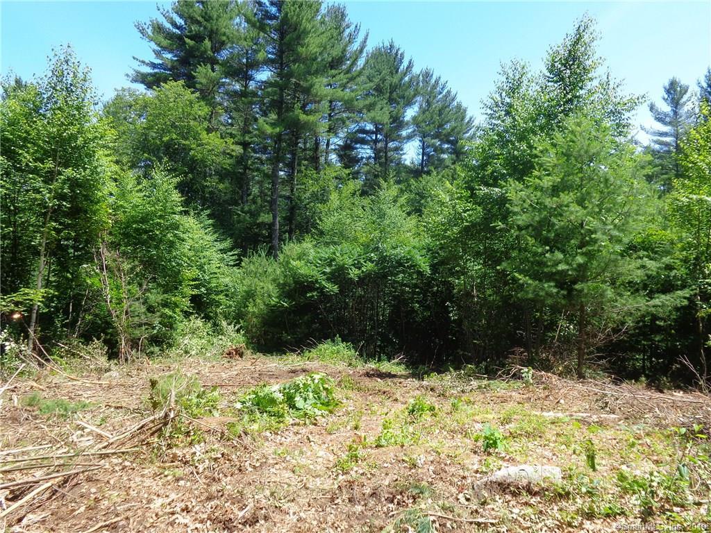 1 Webster Road - Photo 1