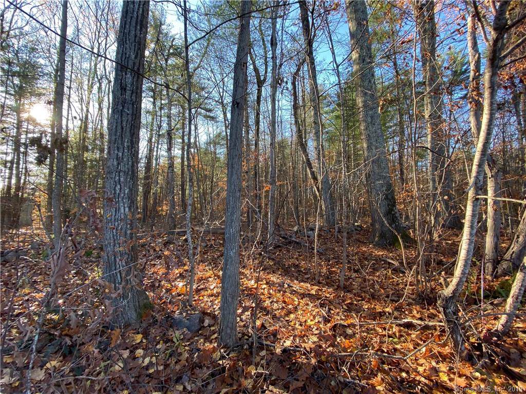 00 Cross To Canaan Valley Road - Photo 1