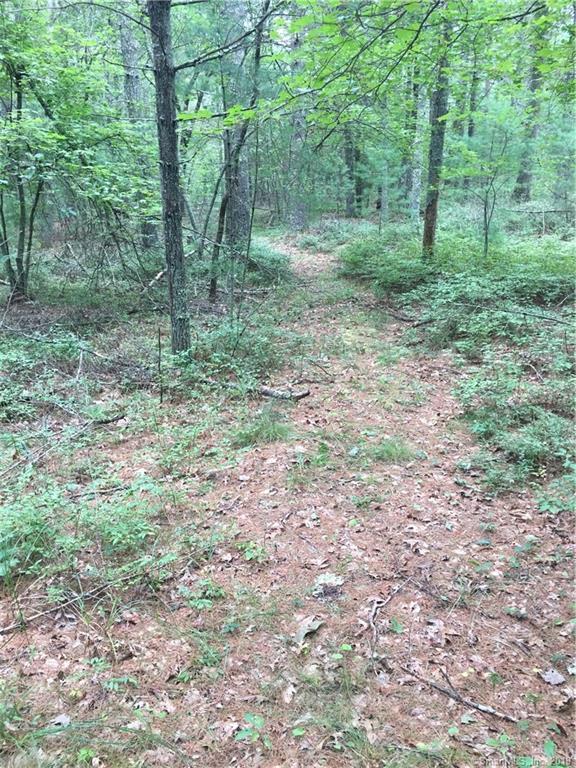 201 Pendleton Hill Rd. - Photo 1