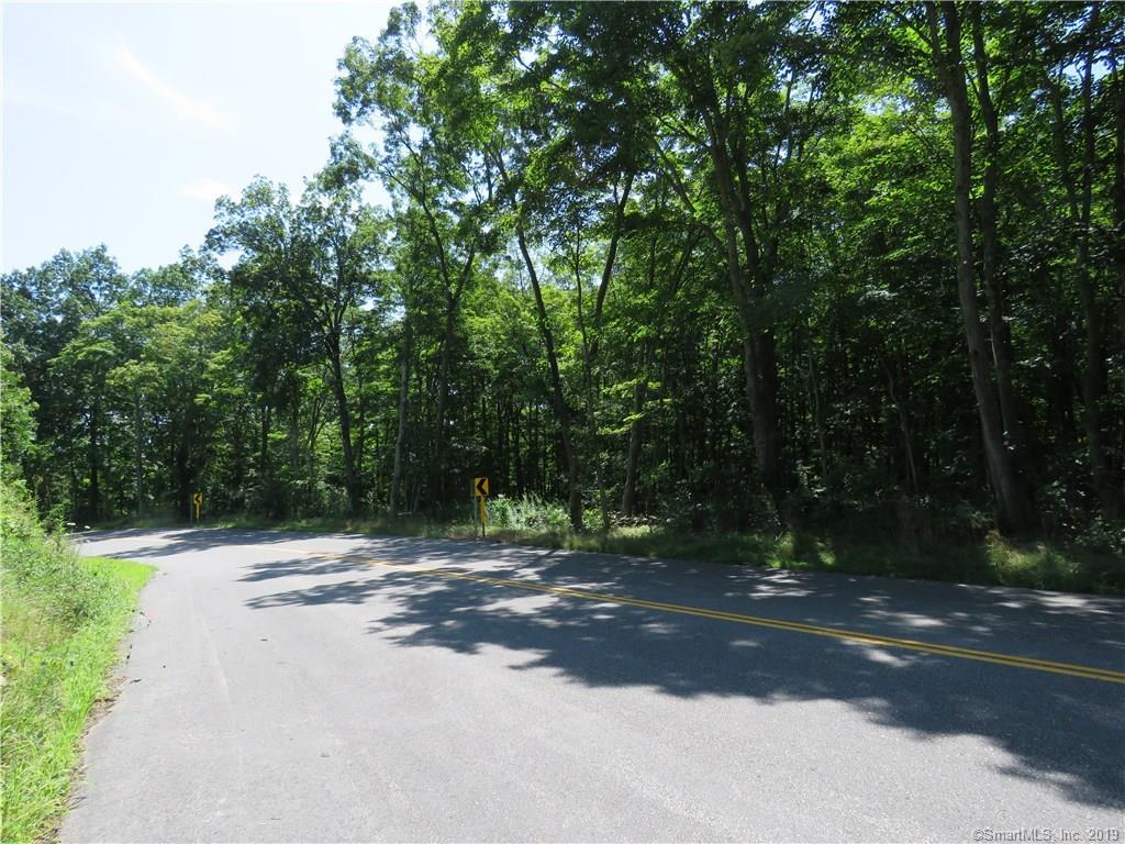 47 Old Hartford Road - Photo 1