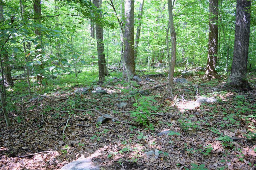 69-B Sylvan Road - Photo 1