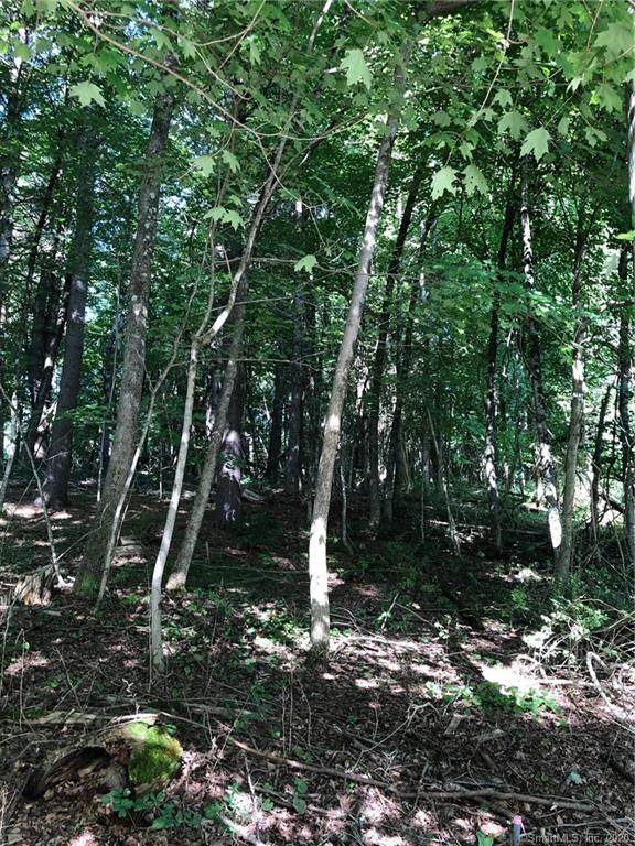 0 Puddlers Lane - Photo 1