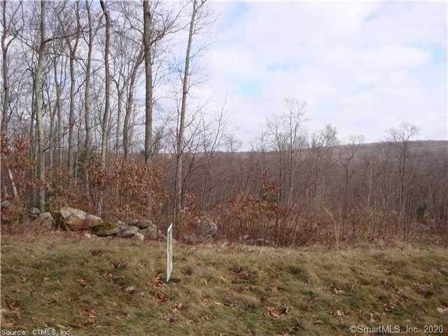 Lot 24 Meshomasic - Photo 1